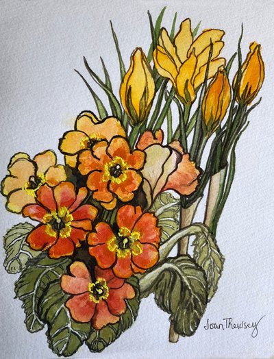 Crocus and Primroses by Joan Thewsey